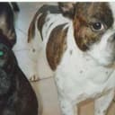 Marc
