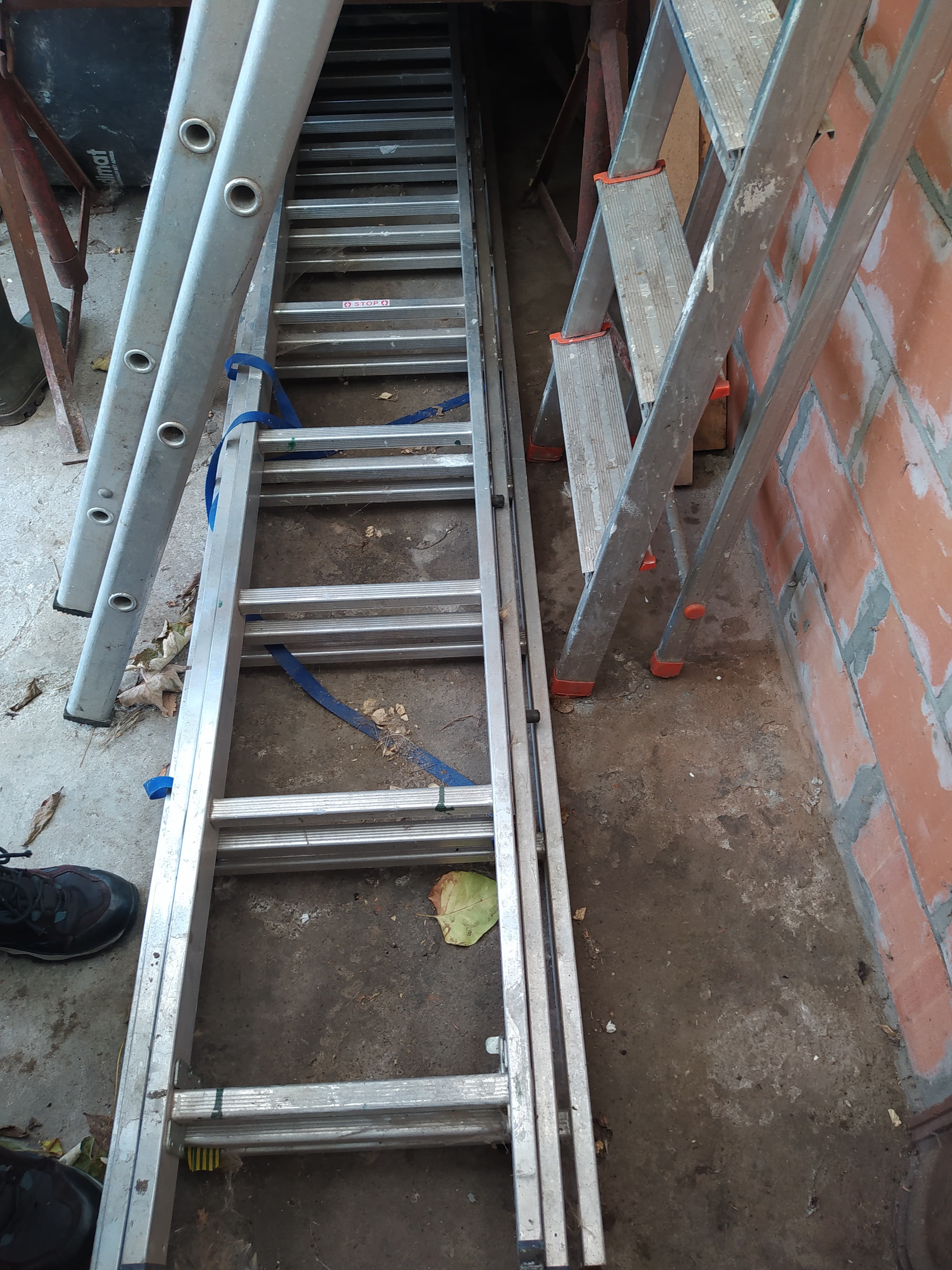 Telescoopladder