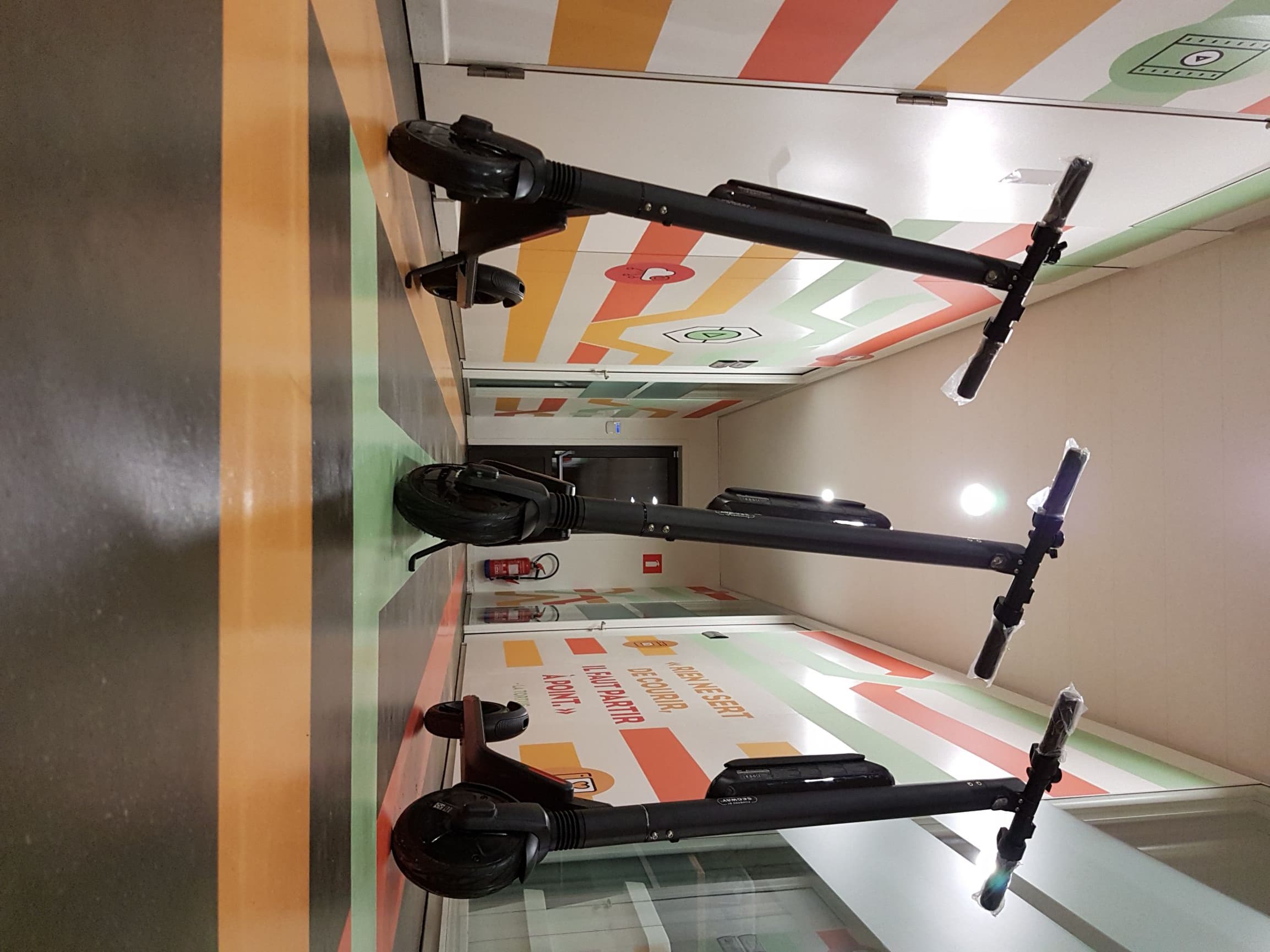 Ninebot Segway ES4 Elektrische Step