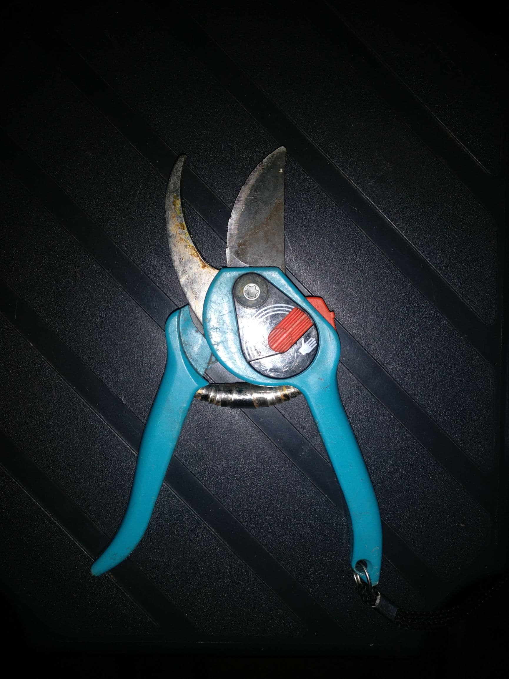 snoeischaar