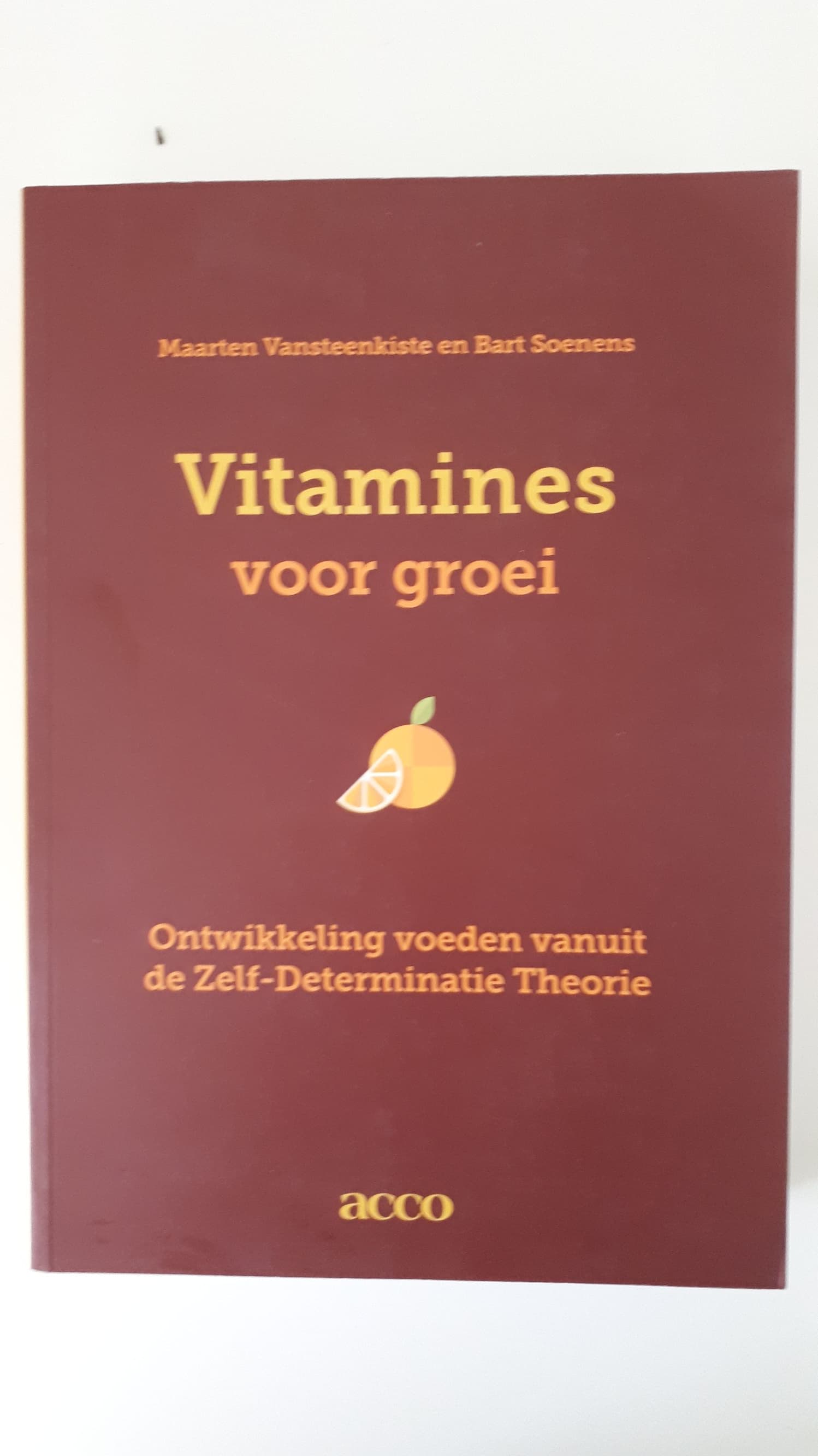 Boek - Vitamines voor groei - Vansteenkiste & Soenens