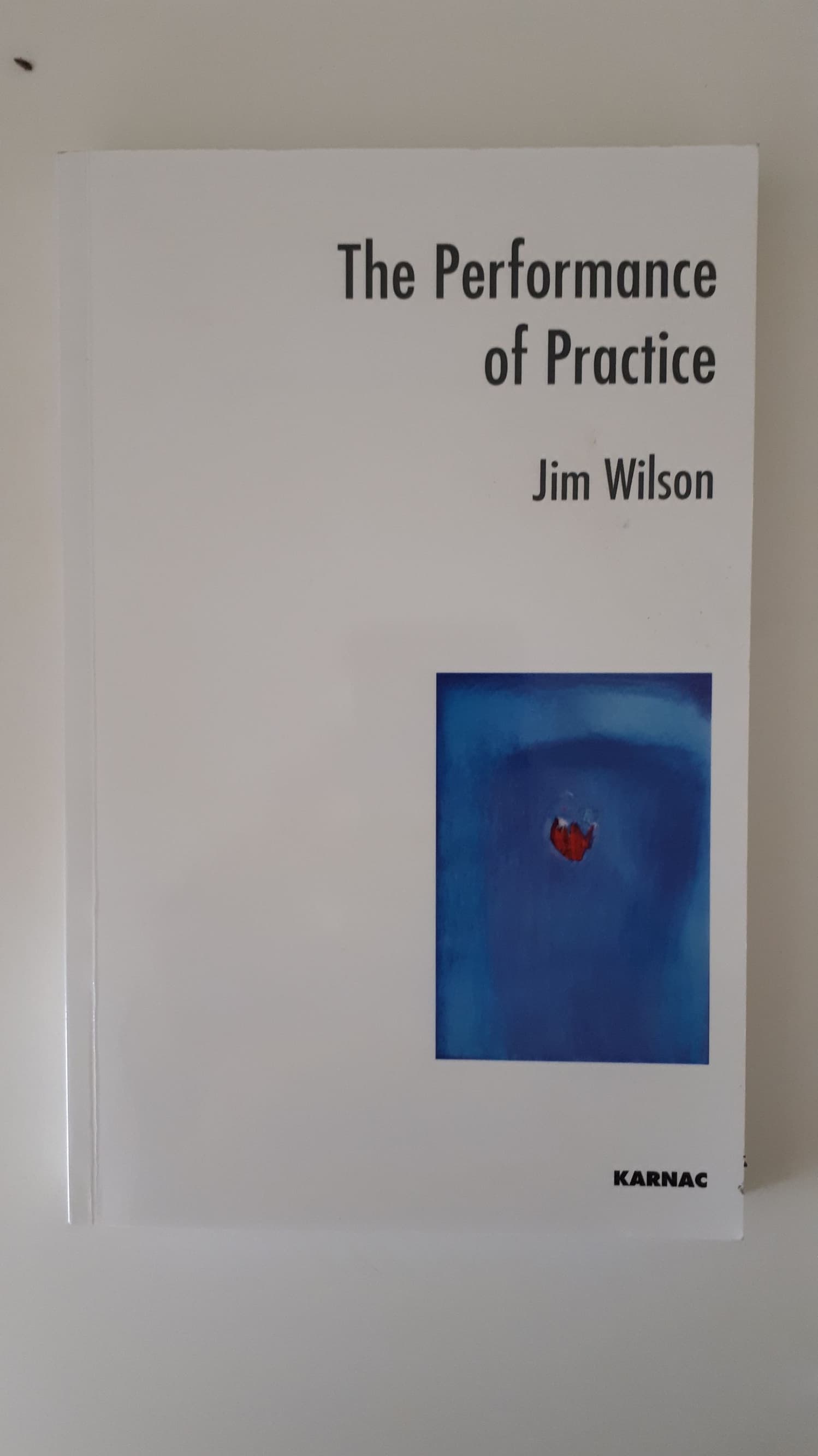 Boek - The Performance of Practice - Jim Wilson