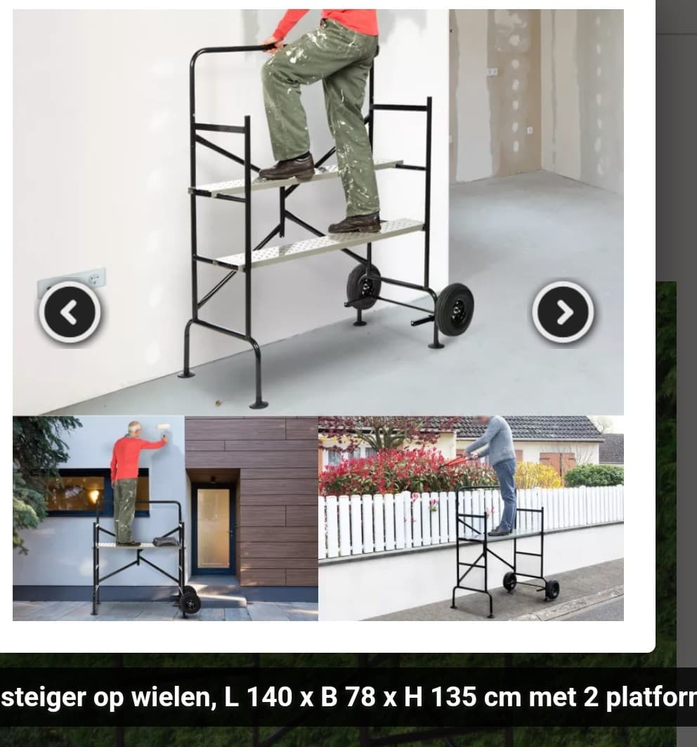 Steiger