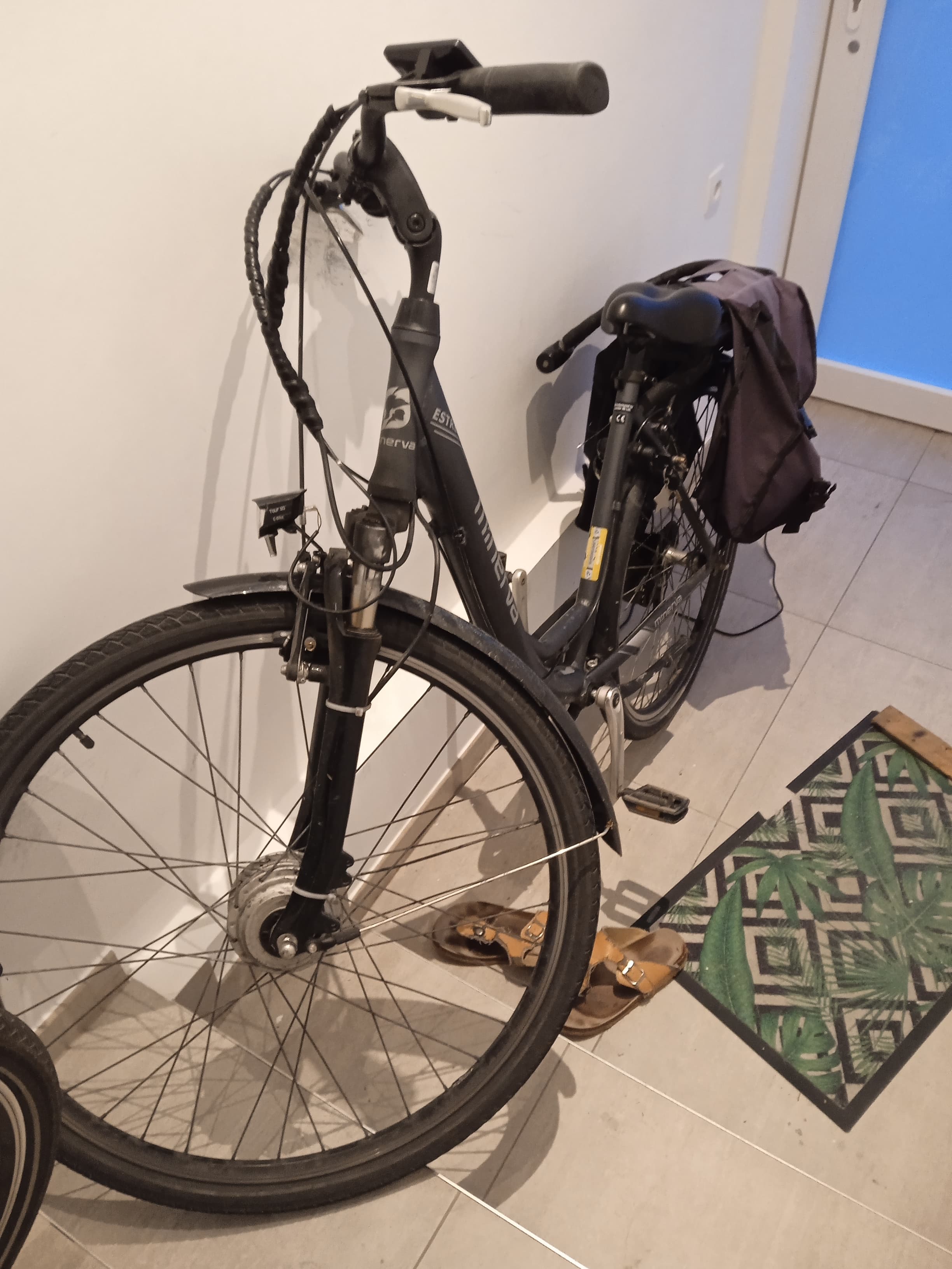 e bike